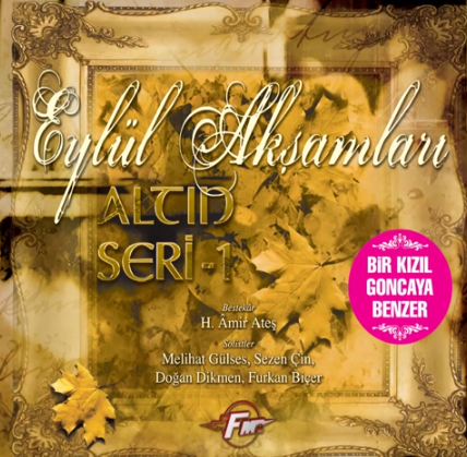 Eylül Akşamları - Mehtap Gibisin